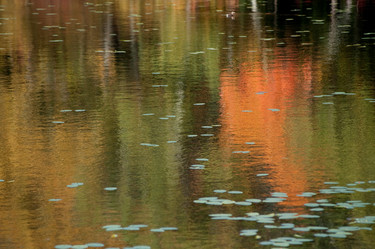 Similar image 8006498