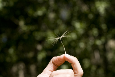 Similar image 8006504