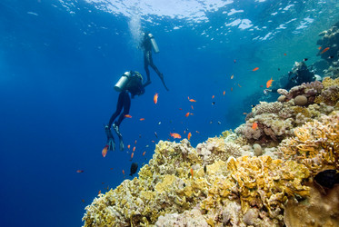 Similar image 8006507