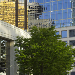 Similar image 8006513