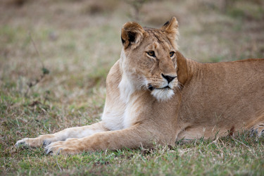 Similar image 8006523