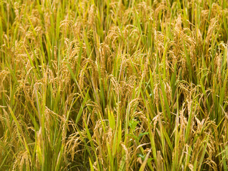 Similar image 8006525