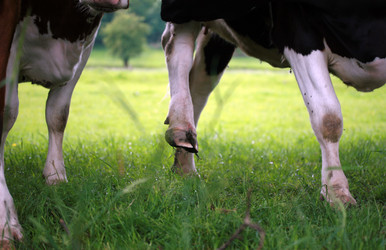 Similar image 8006526