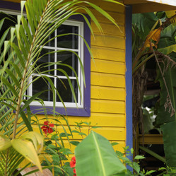 Similar image 8006532