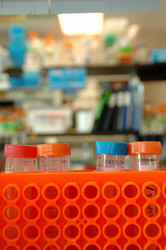 Similar image 8006533