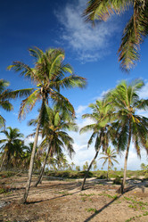 Similar image 8006534