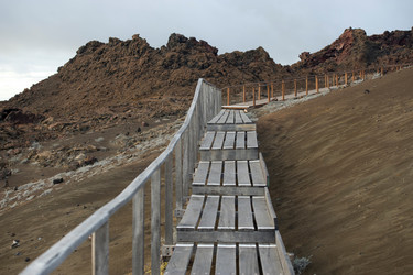 Similar image 8006535