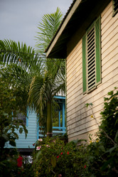 Similar image 8006542