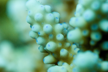 Similar image 8006546