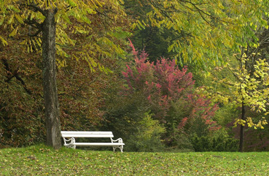 Similar image 8006550