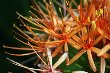 Similar image 8006555