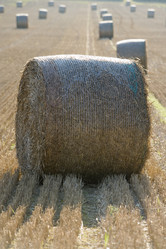 Similar image 8006558