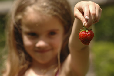 Similar image 8006560