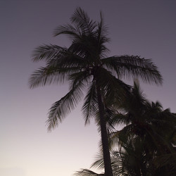 Similar image 8006565