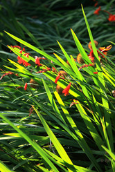 Similar image 8006577