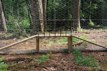 Similar image 8006581