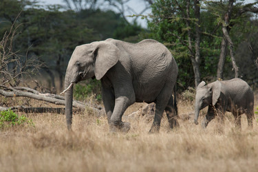 Similar image 8006584