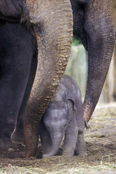 Similar image 8006587