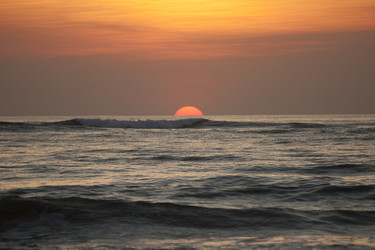 Similar image 8006594