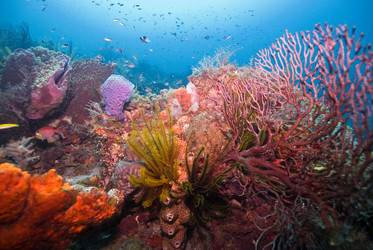 Similar image 8006605