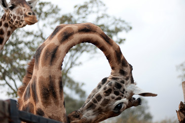 Similar image 8006607