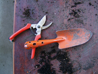 Similar image 8006615