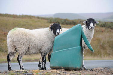 Similar image 8006616