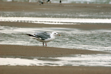 Similar image 8006626