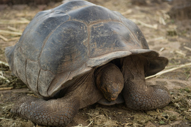 Similar image 8006627