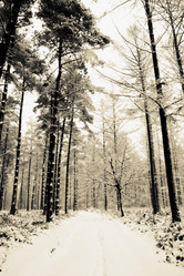 Similar image 8006629