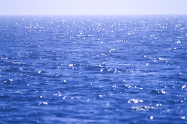 Similar image 8006638