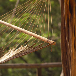 Similar image 8006641