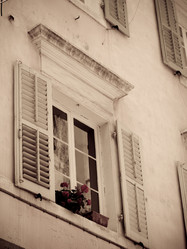 Similar image 8006644