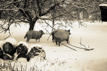 Similar image 8006645