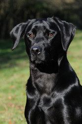 Similar image 8006660