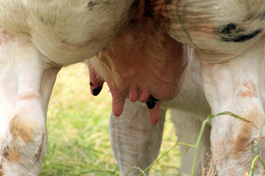 Similar image 8006670