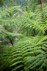 Similar image 8006676