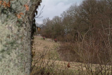 Similar image 8006681