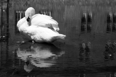 Similar image 8006690