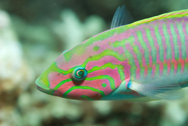 Similar image 8006695