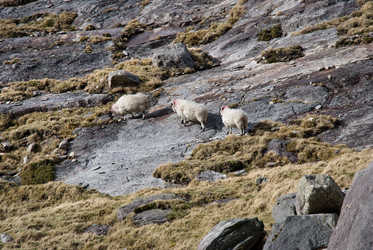 Similar image 8006696