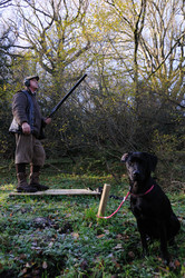 Similar image 8006699