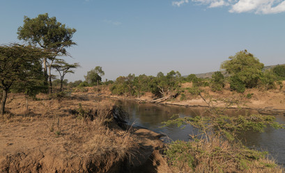 Similar image 8006705