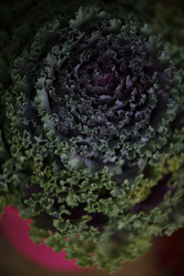 Similar image 8006708