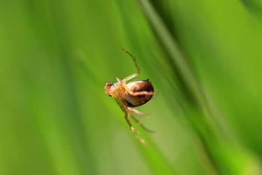 Similar image 8006720