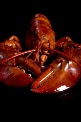 Similar image 8006731