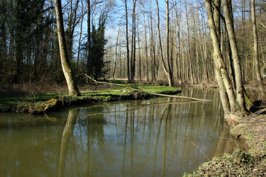 Similar image 8006734