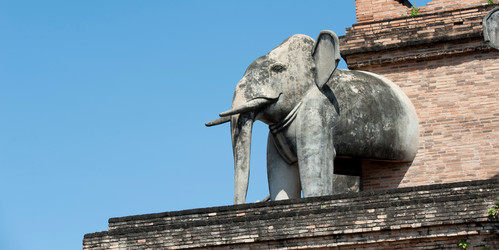 Similar image 8006738