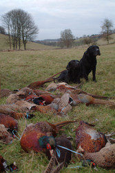 Similar image 8006741