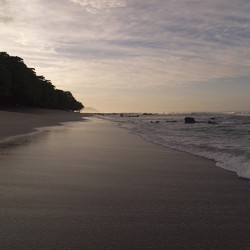 Similar image 8006743